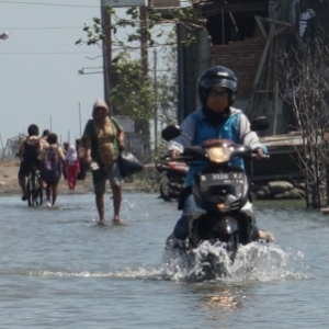 Mangrove Tak Terawat Penyebab Banjir Rob Demak Tak Terbendung