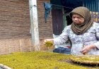 Menyelamatkan Kepentingan Bersama: Menurunkan Prevalensi Perokok dan Memikirkan Masa Depan Pelaku Industri Hasil Tembakau