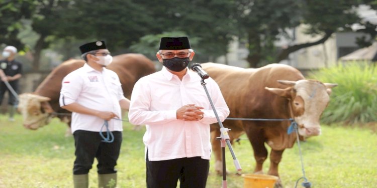 Ketua Dewan Komisioner OJK Wimboh Santoso saat pemotongan hewan qurban yang digelar pegawai OJK/ist