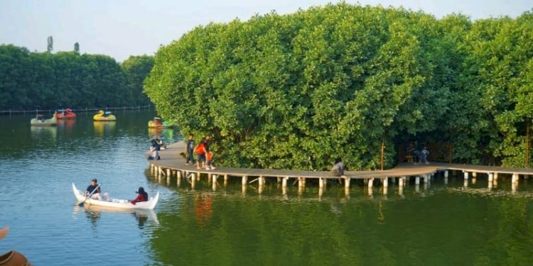 Jalur treking yang mengelilingi hutan mangrove di Grand Maerokoco Semarang, yang menjadi magnet wisatawan. Hutan mangrove bukan hanya menjaga paru-paru dunia, namun mampu mendulang rupiah dari sektor pariwisata. Foto-foto sebelum pelaksanaan PPKM Darurat. / net