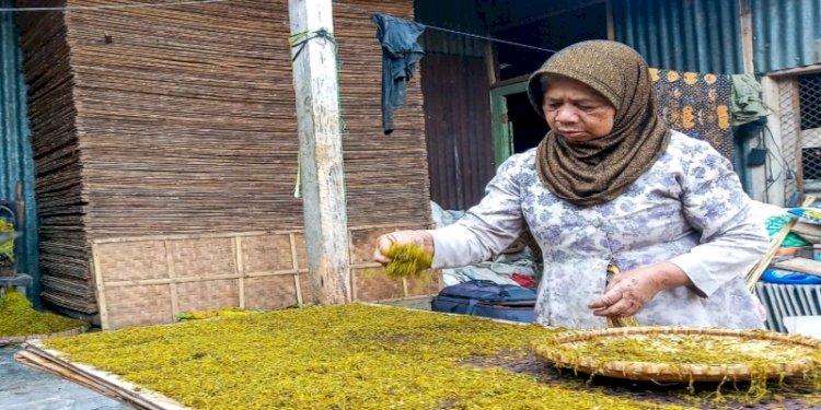 Foto atas: Petani tembakau di Desa Bansari,  Kecamatan Candiroto, Kabupaten Temanggung, saat menjemur rajangan tembakau. Foto bawah: Seorang buruh perempuan beristirahat sejenak di pinggir kebun tembakau di Desa Canggal, Kecamatan Candiroto, Temanggung. Foto-foto: Gholib/RMOL Jateng