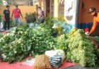 SAR Karanganyar Donasi Sayur dan Buah Bagi Warga Isoman