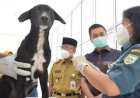 100 Kuota Vaksinasi Rabies Gratis Diberikan Dispartan Salatiga