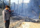 Bakar Sampah, Dua Kandang Ayam Senilai Ratusan Juta Terbakar