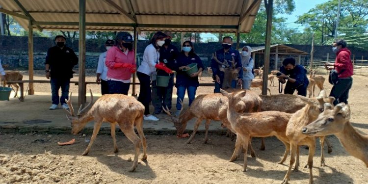 Ketua TP PKK Kota Semarang Krisseptiana Hendrar Prihadi dan Kepala Disbudpar saat memberikan makan hewan di Semarang Zoo/RMOLJateng