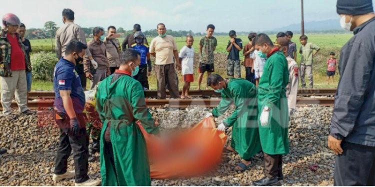 Petugas mengevakuasi korban tertabrak kereta api/RMOLJateng