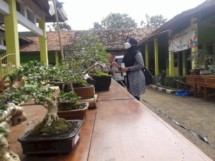 Acara jemur bonsai di Balai Desa Candiareng, Kecamatan Warungasem, Kabupaten Batang. / RMOL Jateng 