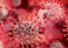 Pasien Tuberkulosis dan AIDS Terabaikan