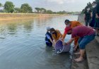 Komunitas Lintas Agama di Semarang Tebar 500 Ekor Ikan Patin di Banjir Kanal Barat