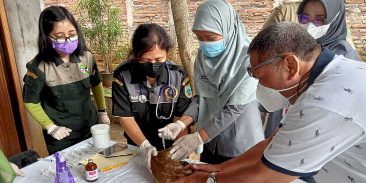 Memperingati Hari Rabies Sedunia, Dispertan Salatiga menyuntikan 100 dosis vaksin gratis bantuan Provinsi Jawa Tengah kepada hewan peliharaan milik masyarakat, Selasa (28/9). RMOL Jateng