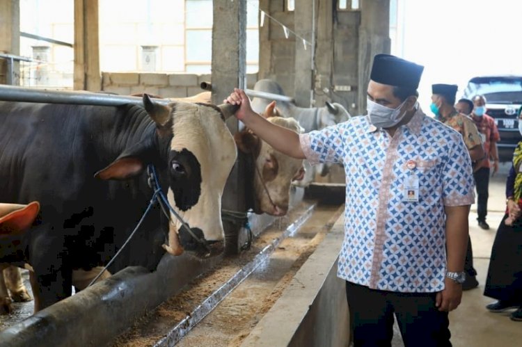 Taj Yasin Maimoen saat meninjau rumah pemotongan hewan (RPH) Penggaron, sebagai persiapan mengembangkan RPH halal di Jateng. / RMOL Jateng 