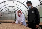 Kapulaga Purbalingga Tembus Pasar Turki