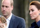 Pangeran William dan Kate Middleton Shock Pasca Pembunuhan Sir David Ames