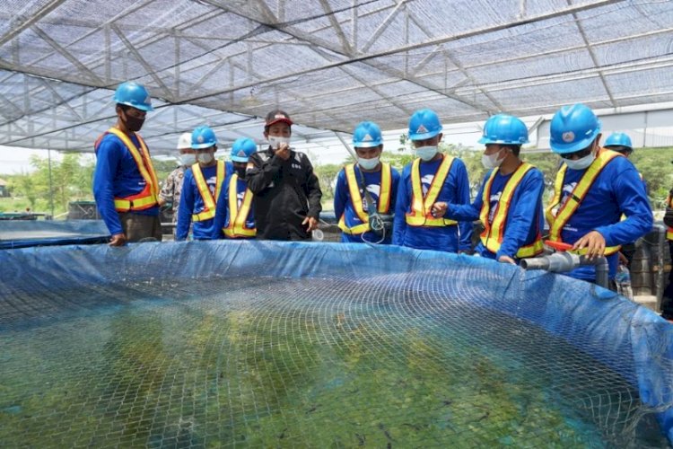 Edukasi peternakan ikan di Ecopark Semen Indonesia. / RMOL Jateng 