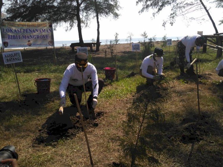 Forkompinda Batang menanam bibit mangrove di Pantai Sicepit, Kasepuhan, Batang