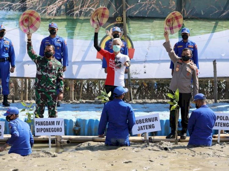 Gubernur Jateng, Ganjar Pranowo, saat mengikuti kegiatan "Polda Jateng Mageri Segara" bersama Kapolda Jateng Irjen Pol Ahmad Luthfi, Pangdam IV/Diponegoro Mayjend TNI Rudianto, dan Forkompinda di Desa Bedono, Kecamatan Sayung, Kabupaten Demak, Selasa (12/10/2021). / RMOL Jateng 