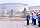 Merebut Pangsa Pasar Petrokimia, Menjadi Tuan di Negeri Sendiri