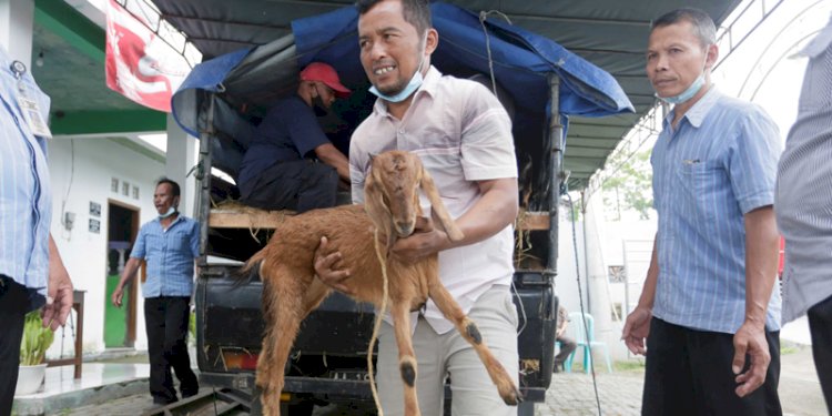 Perwakilan LP2M IAIN Salatiga menyerahkan bibit ternak kambing kepada desa binaan di Balai Desa Wiru, Kecamatan Bringin, Kabupaten Semarang, Selasa (16/11). RMOL Jateng 