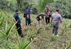 Aad Purwanto Kembangkan Lidah Buaya Jadi Olahan Makanan