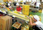 Kuartal 1 Tahun 2022, Sido Muncul Catat Pertumbuhan Penjualan Rp 880 Milyar