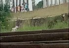 Pemancing Tertabrak Kereta di Jembatan Pencongan Pekalongan