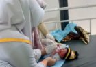 Polisi Amankan Pelaku Pembuang Bayi di Karangpandan, Ternyata Sosok Ini