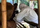 Dinpertan Purbalingga Pastikan Pasokan Hewan Kurban Aman