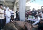 Penyembelihan Hewan Kurban di Kota Semarang Bebas PMK