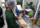 Jejak Digital yang Mengguncang Nasib Para Pejuang Lokal