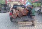 Curi Kayu Hutan, Dua Warga Grobogan Diamankan Polisi