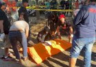 Penemuan Jasad Laki-Laki di Selokan Puri Anjasmoro Semarang