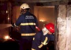 Ribuan Anak Ayam Terbakar di Kandang Sebabkan Rugi Ratusan Juta