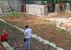 Dua Gajah Sumatera Pengganti Sekar Sudah Tiba di Semarang Zoo