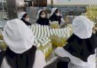 Sido Muncul Bukukan Kenaikan Laba 0,56 Persen pada Semester 1 Tahun 2023