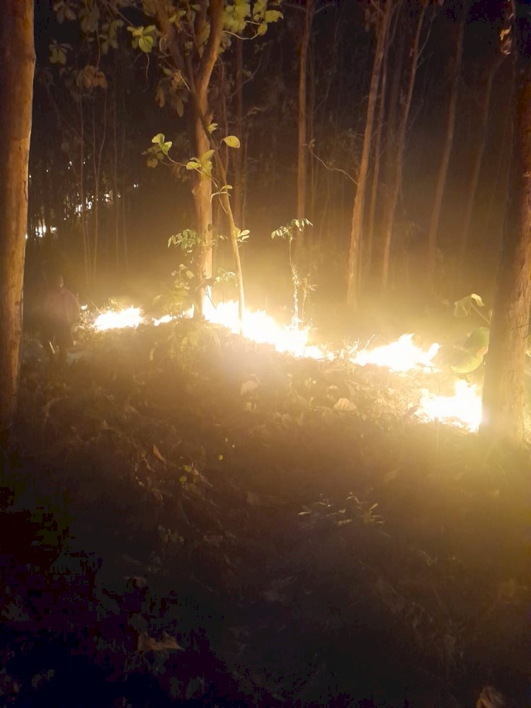 Lahan milik warga Dusun Kaliputih, Desa Polosiri, Kecamatan Bawen, Kabupaten Semarang terbakar yang dikhawatirkan merembet ke rumah warga.