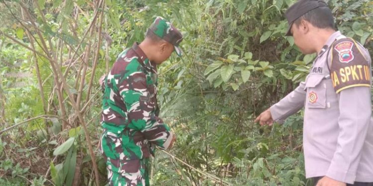 Lokasi jatuhnya kakek tewas saat mencari rumput, Kamis (7/9). Dok 