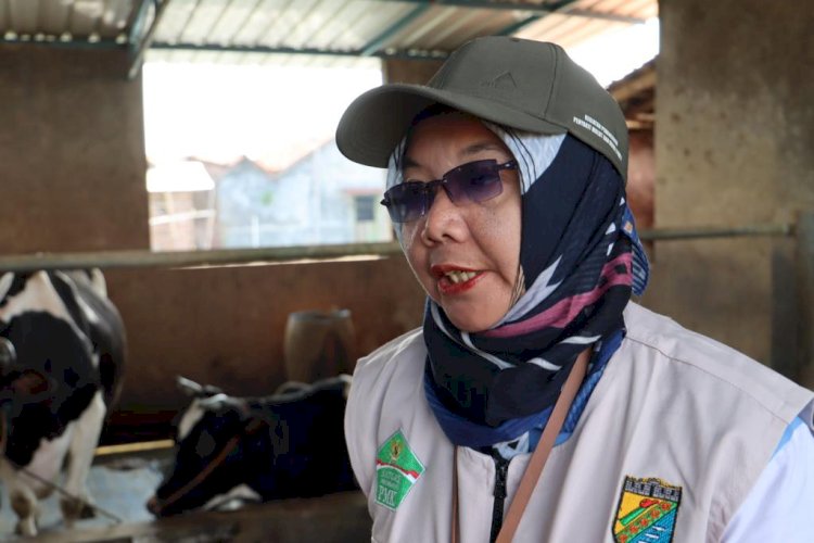 Kepala bidang peternakan dan kesehatan hewan, Ilena Palupi.