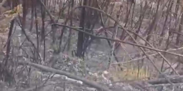 Kebakaran di Bukit Ngembel, desa Gondosuli, Tawangmangu padam Jumat (29/9) . Dok
