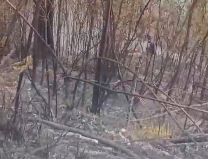 Kebakaran di Bukit Ngembel, desa Gondosuli, Tawangmangu padam Jumat (29/9) sore /foto istimewa