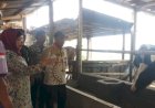 Belajar Sampai ke Ponorogo, Dua Kelompok Ternak di Batang Akan Suplay Susu untuk Nestle