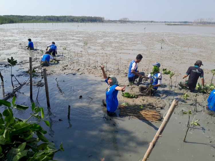 KPS Lokajaya, Angling Kusumo, serta siswa SMA 1 Sayung mulai melaksankan penanaman mangrove, di dukuh Wonorejo, ds Timbulsloko, Kec Sayung, Kab Demak.