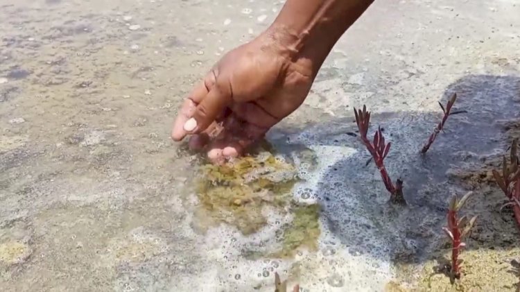 Kondisi air dari aliran sungai Dasun Kaliori Rembang Berbusa. RMOL Jateng