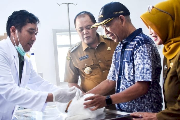 Vaksin rabies gratis untuk kucing dan anjing dalam rangka World Rabies Day