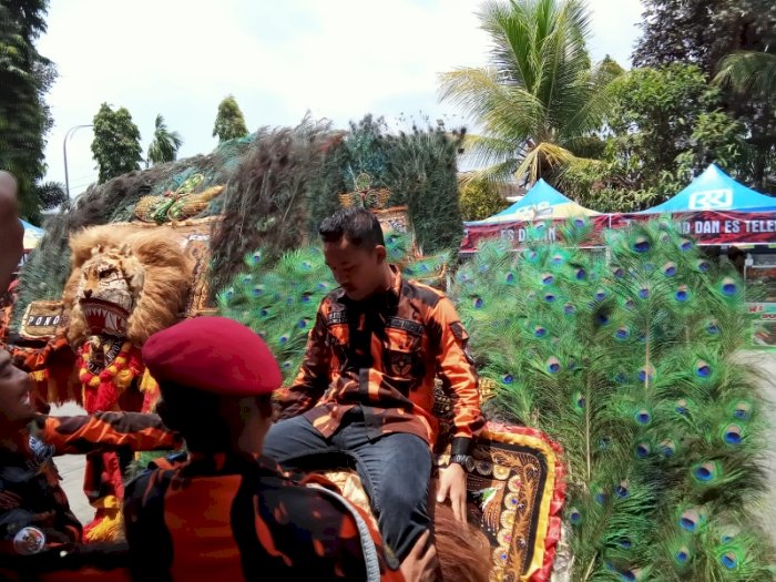 Ketua MPC PP Karanganyar Disa Ageng Aliven menaiki dadap merak