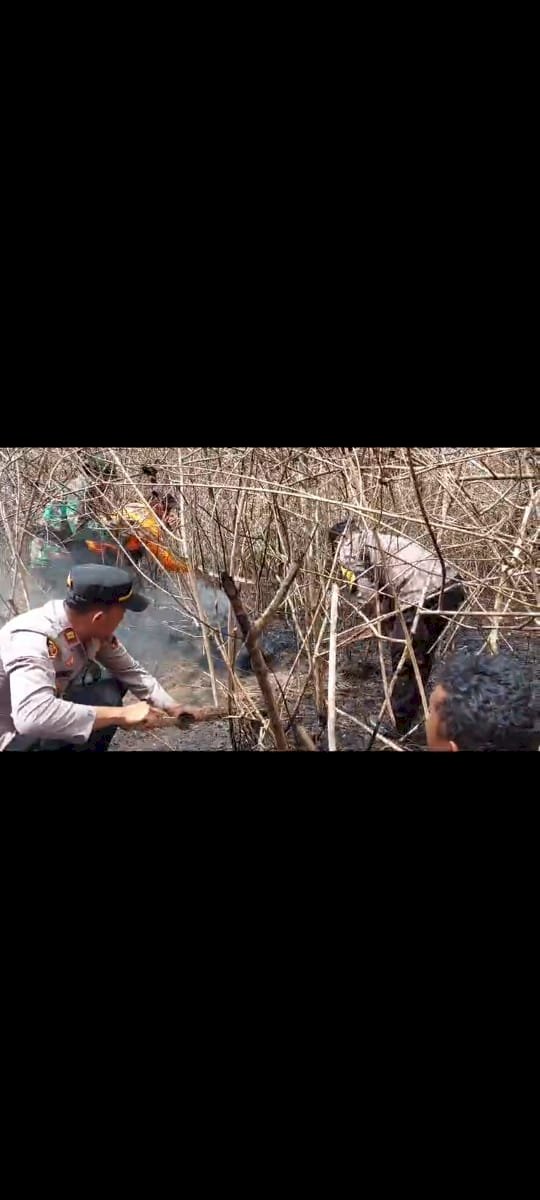Polsek Getasan bersama Koramil Getasan, Relawan dan petugas Taman Nasional Gunung Merbabu (TNGM) menyisiri bekas lahan terbakar wilayah Ds. Tajuk Kec. Getasan, Jumat (3/11).