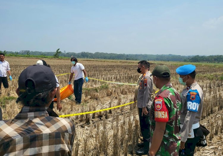 Petugas mengevakuasi mayat yang ditemukan di areal sawah, Desa Tegalsari, Kecamatan Kandeman, Kabupaten Batang