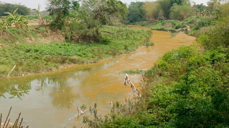 Kondisi sungai Lusi di Getasrejo Grobogan
