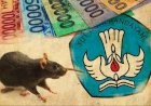 Pengadaan 10 Ribu Meja dan Kursi SD di Dinas Pendidikan Diduga Beraroma Korupsi