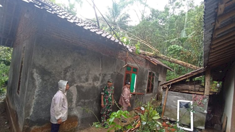 Rumah Khadmiah (53) di wilayah Desa Losari RT 3 RW 5 rusak berar tertimpa pohon.
