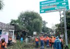 Hujan Badai Melanda Solo Sukoharjo, Puluhan Pohon Tumbang Macetkan Jalan